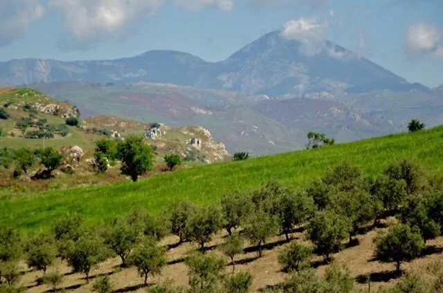 Ciuci'S Manor Villa Aragona Farm stay